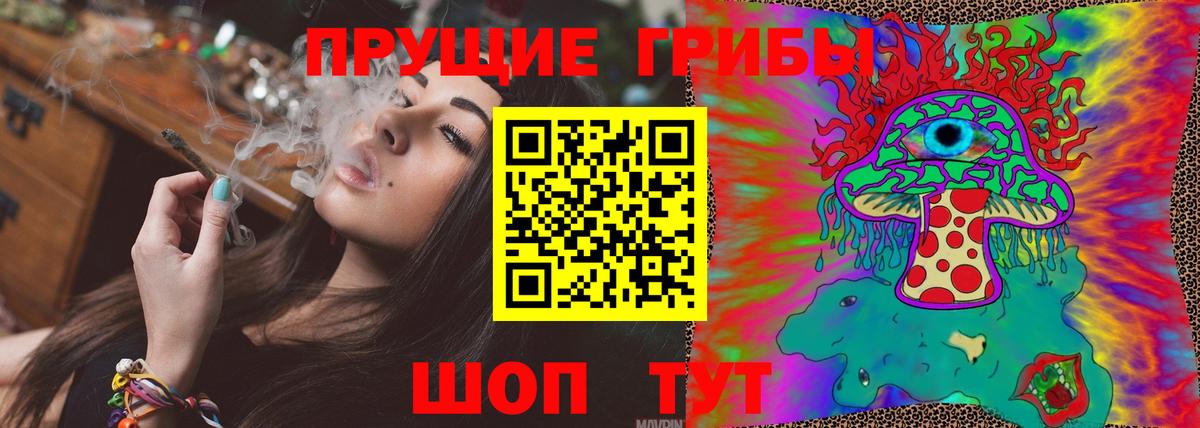 Псилоцибиновые грибы GOLDEN TEACHER Богородицк